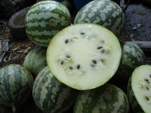 芝麻密瓜怎么吃,夏日清凉美食的多样吃法探索