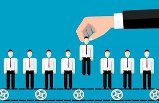 头条hr起薪,薪资水平与行业趋势深度解析”