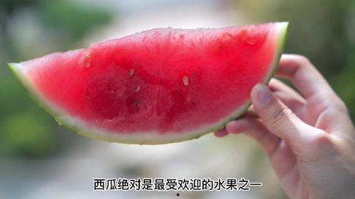 血糖有点高可以吃早瓜吗,适宜还是禁忌？