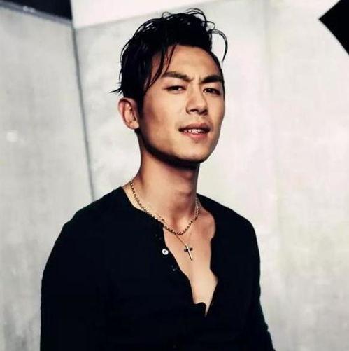 痞雅的男明星,揭秘男明星的独特风采