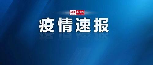 藁城爆料最新新闻事件,突发火灾致多人受伤，紧急救援正在进行中